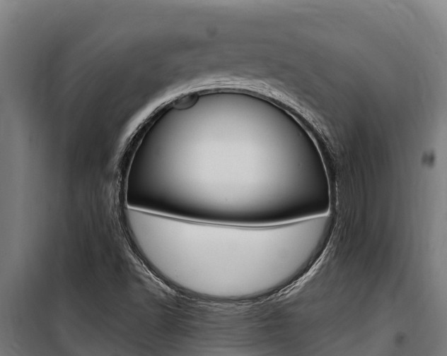 X0000100851502200806200749