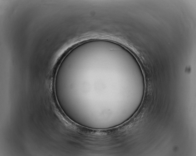 X0000100851503200806200749