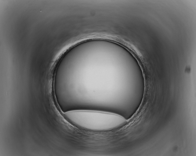 X0000100851504200806200749