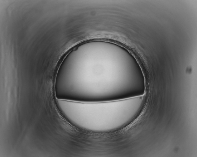 X0000100851505200806200749