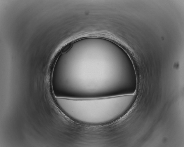 X0000100851506200806200749