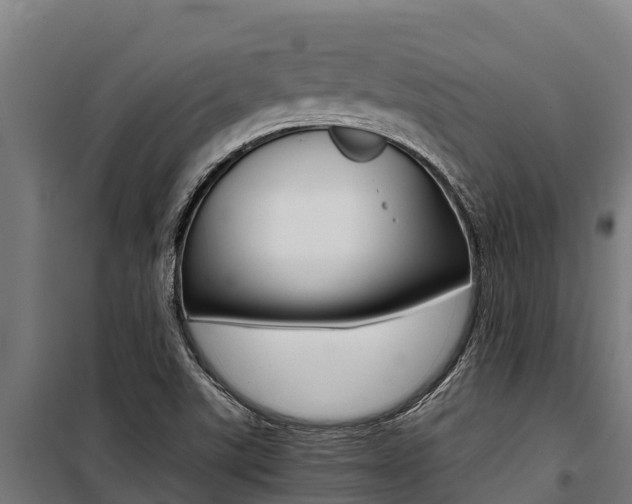 X0000100851507200806200749