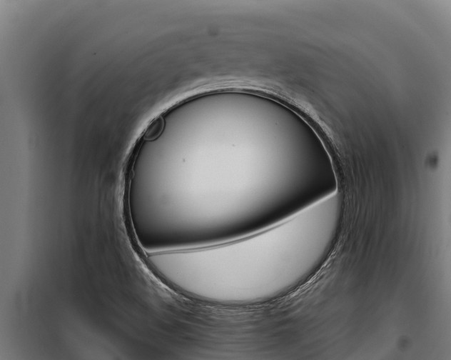 X0000100851508200806200749