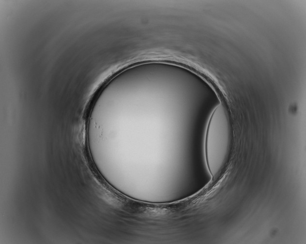X0000100851509200806200749