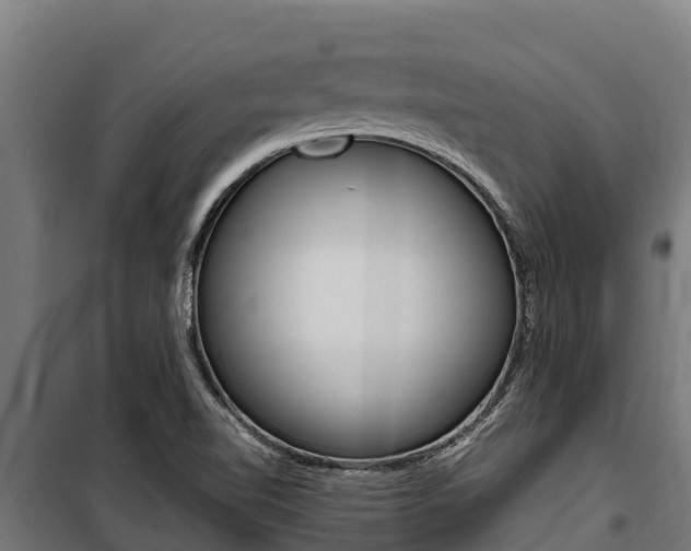 X0000100851510200806200749