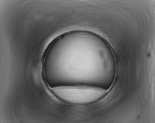 X0000100851511200806200749