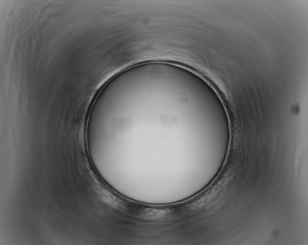 X0000100851513200806200749