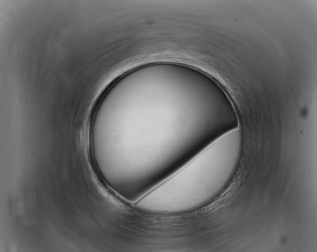 X0000100851515200806200750