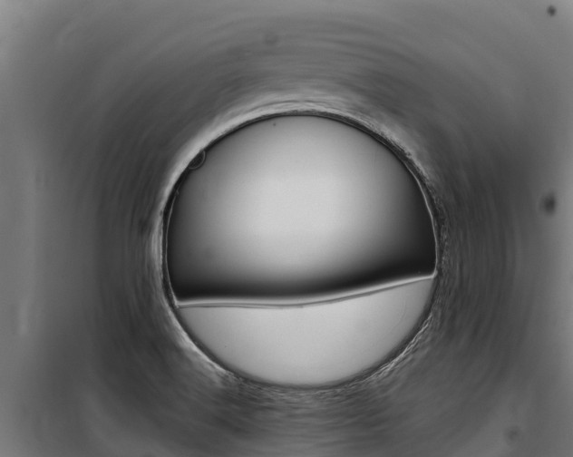 X0000100851516200806200750