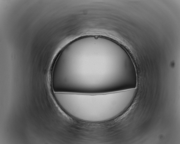 X0000100851517200806200750