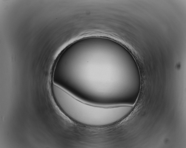 X0000100851518200806200750