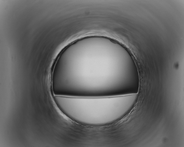 X0000100851519200806200750