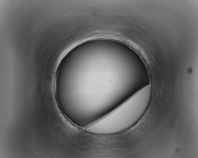 X0000100851520200806200750