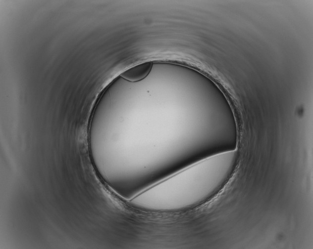 X0000100851521200806200750