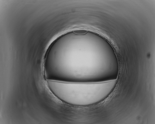 X0000100851522200806200750