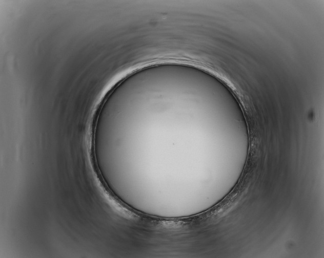 X0000100851523200806200750