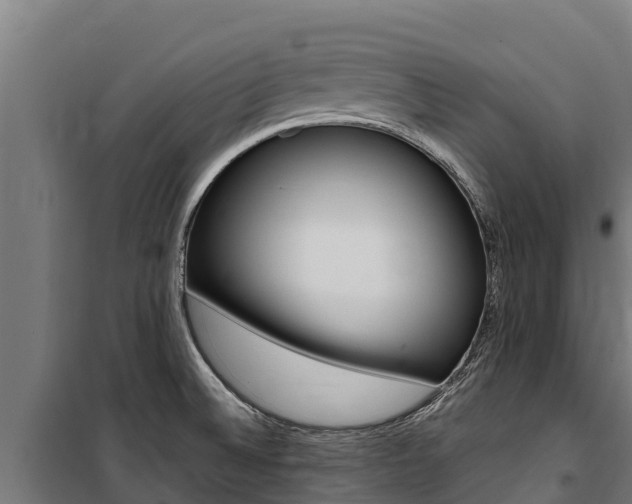 X0000100851524200806200750