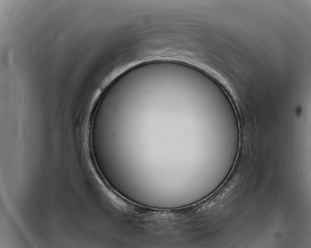 X0000100851525200806200750