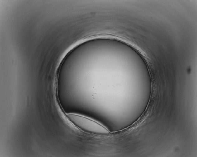 X0000100851526200806200750