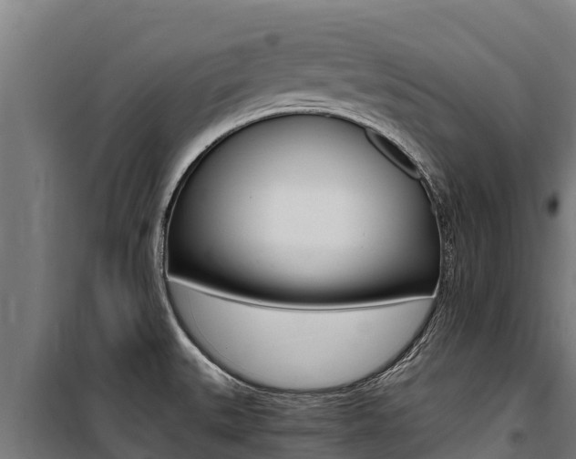 X0000100851527200806200750