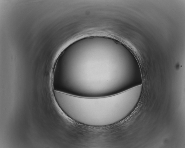 X0000100851528200806200750