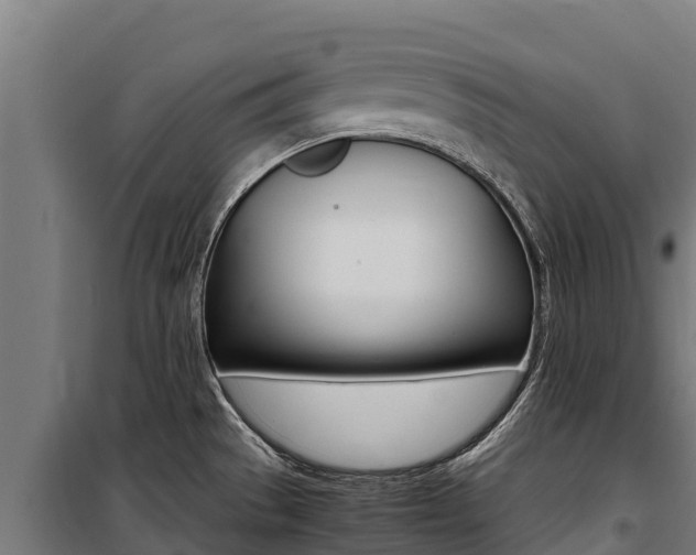 X0000100851529200806200750
