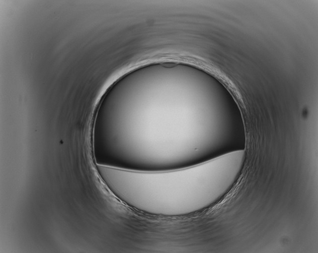 X0000100851530200806200750