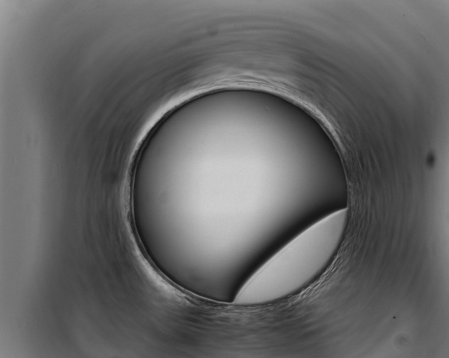 X0000100851531200806200750