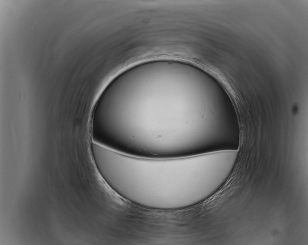 X0000100851532200806200750