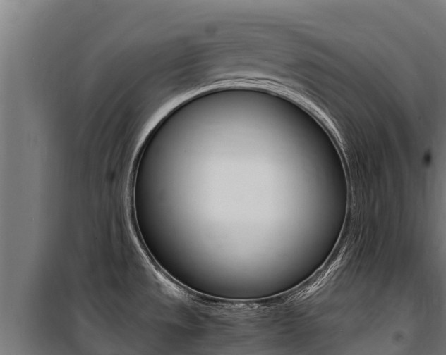 X0000100851533200806200750