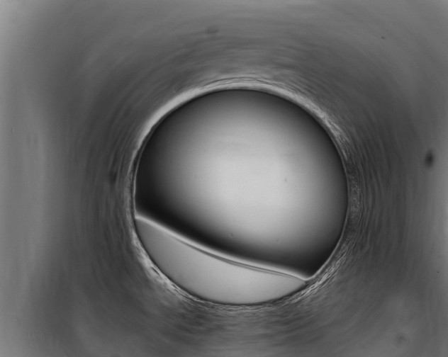 X0000100851534200806200750