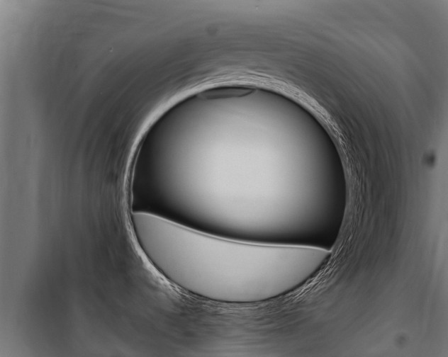 X0000100851536200806200750