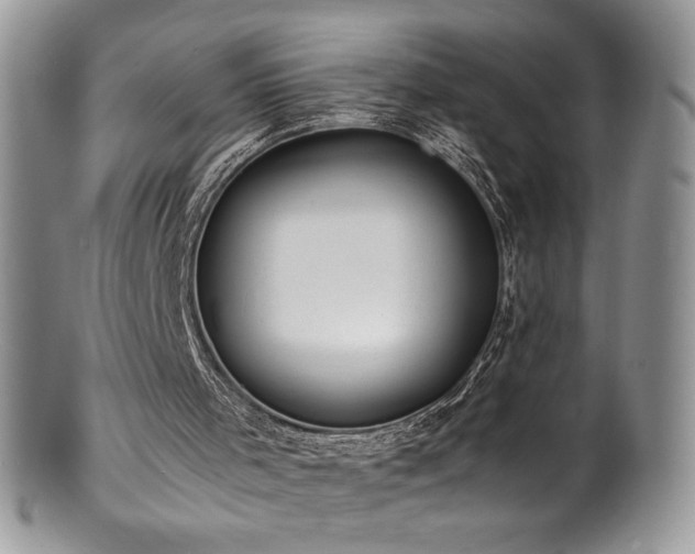 X0000100850001200806201225