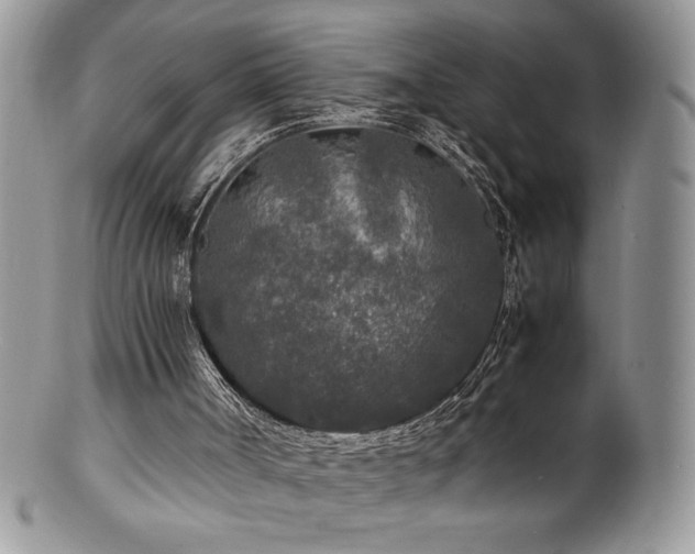 X0000100850002200806201225