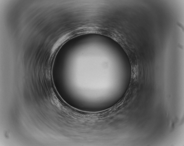 X0000100850004200806201225