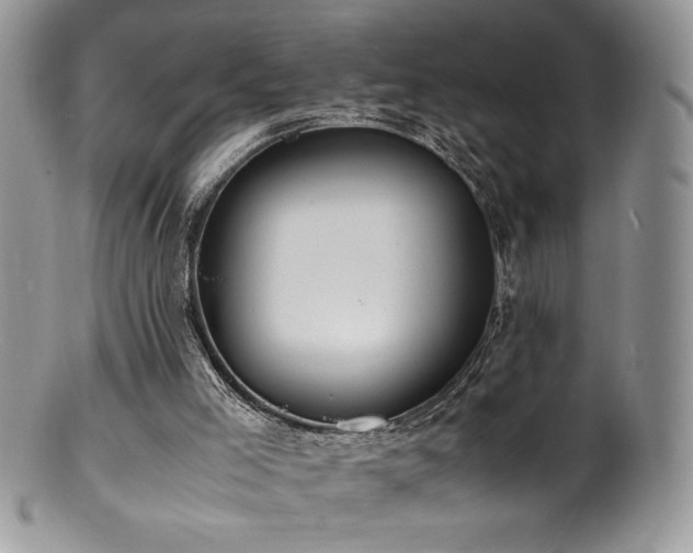 X0000100850005200806201225