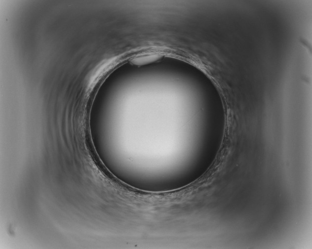 X0000100850007200806201225