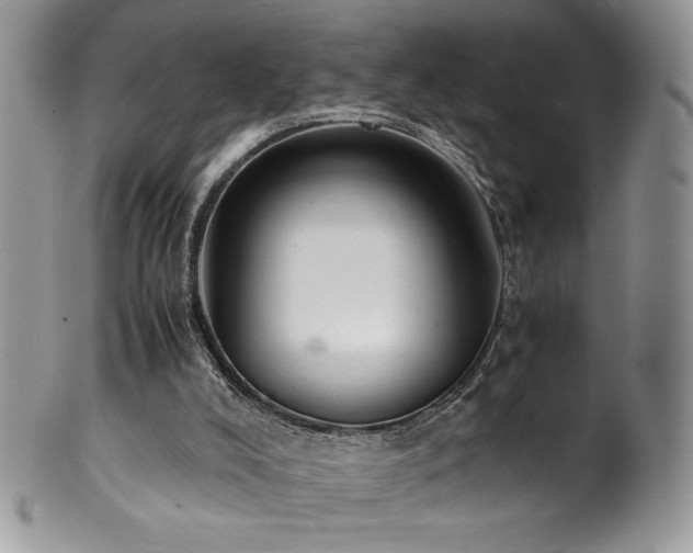 X0000100850008200806201225
