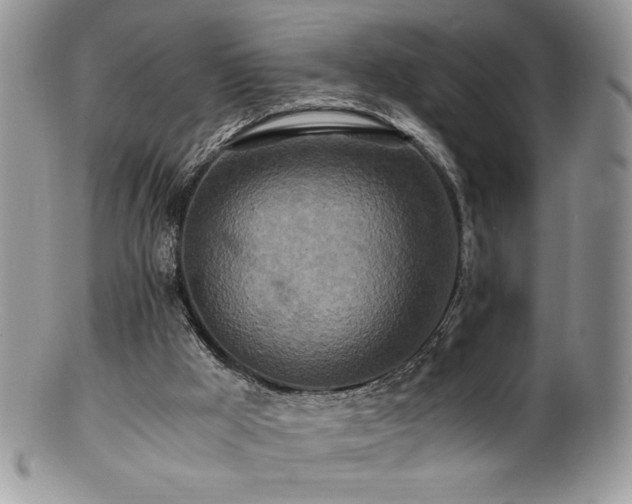 X0000100850009200806201225