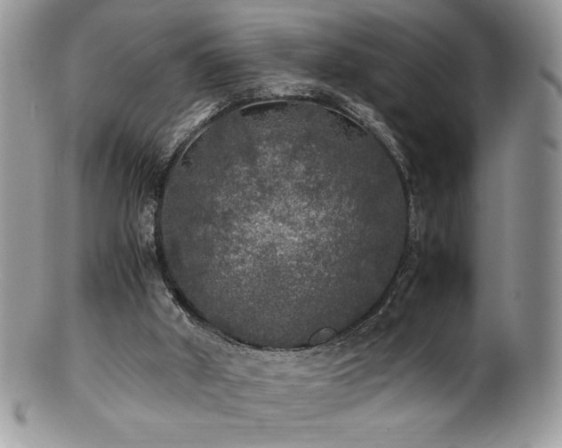X0000100850010200806201225