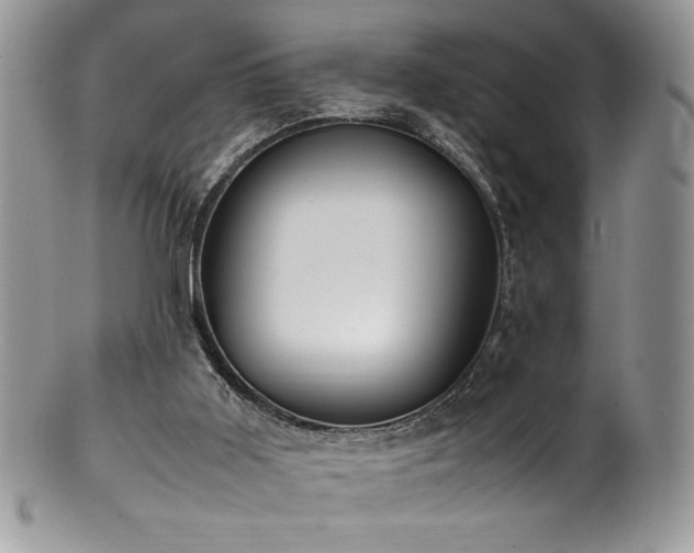 X0000100850011200806201225