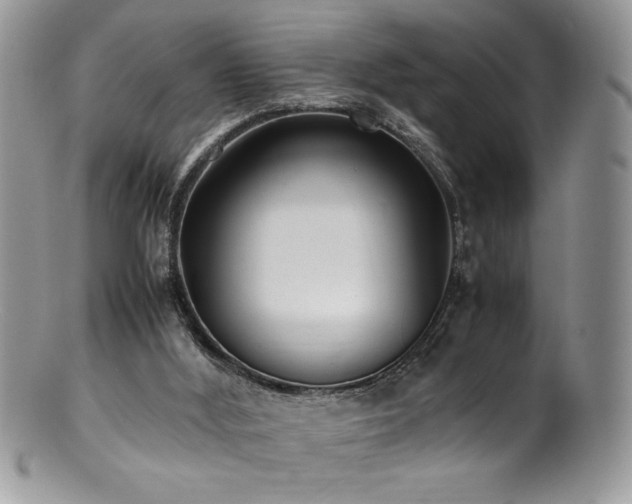 X0000100850012200806201225