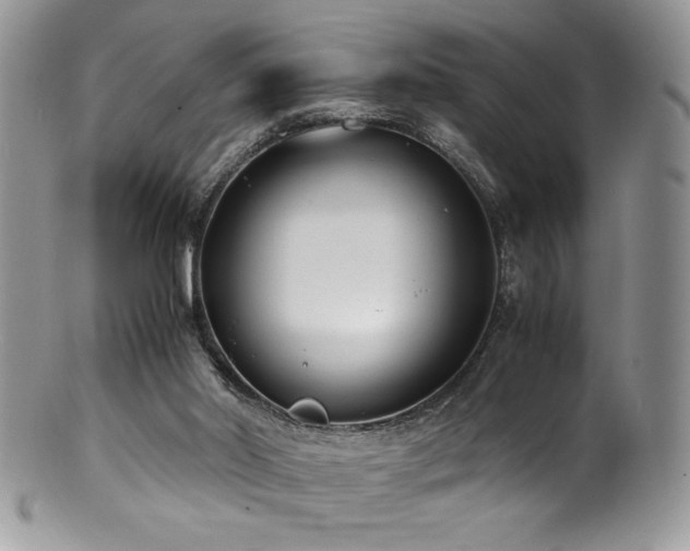X0000100850014200806201225