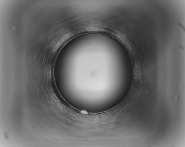 X0000100850015200806201225