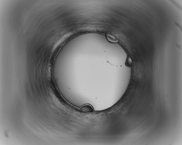 X0000100850016200806201225