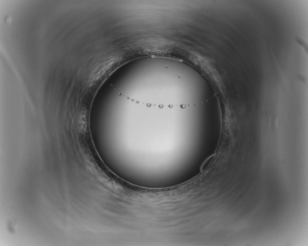 X0000100850017200806201225