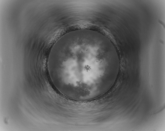 X0000100850018200806201225