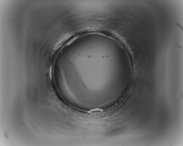 X0000100850019200806201225