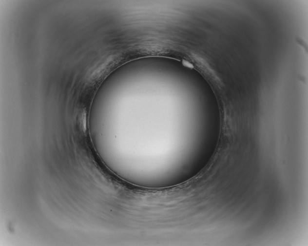 X0000100850021200806201225
