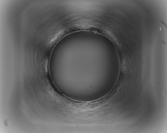 X0000100850023200806201225